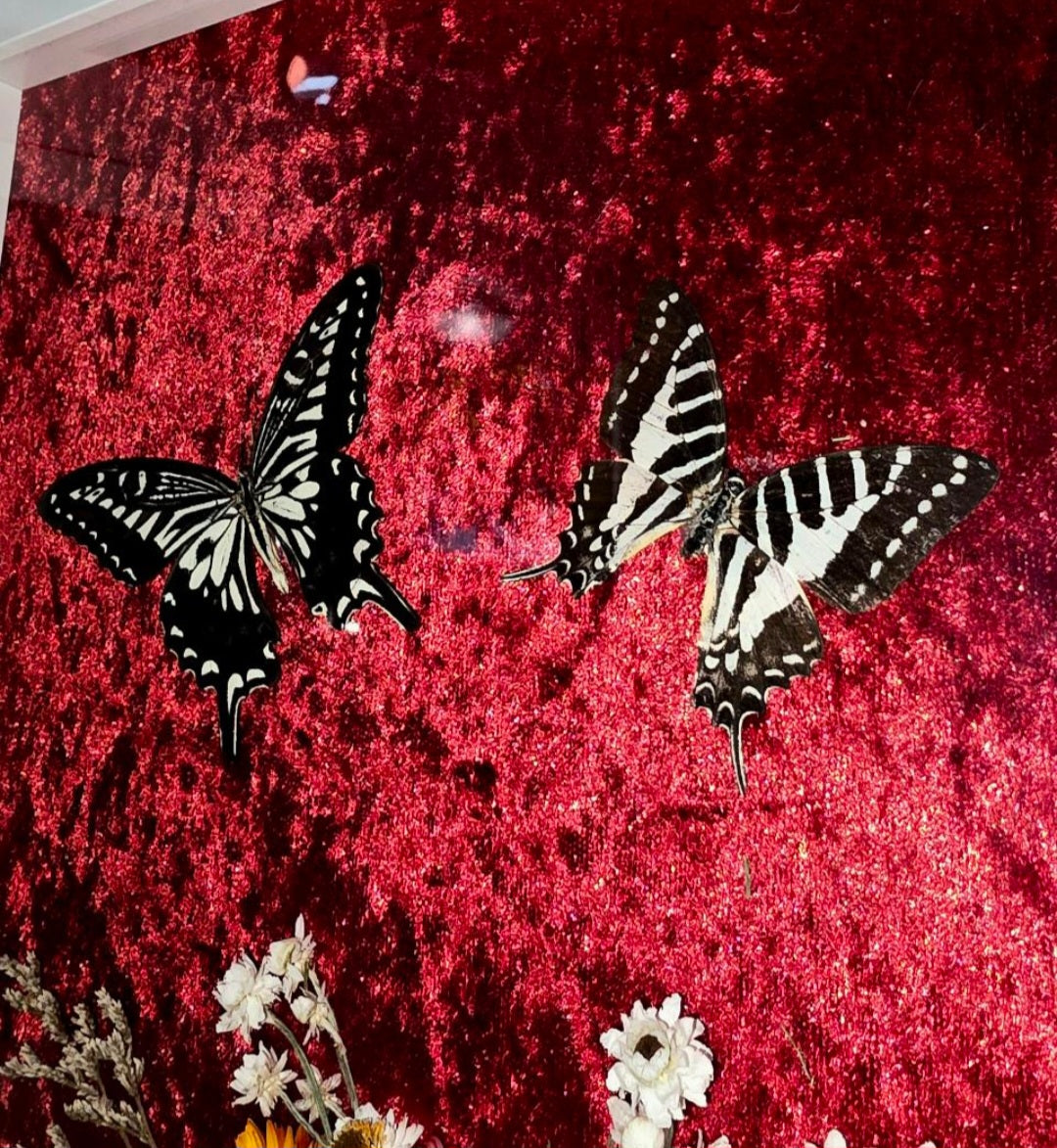 Swallowtail