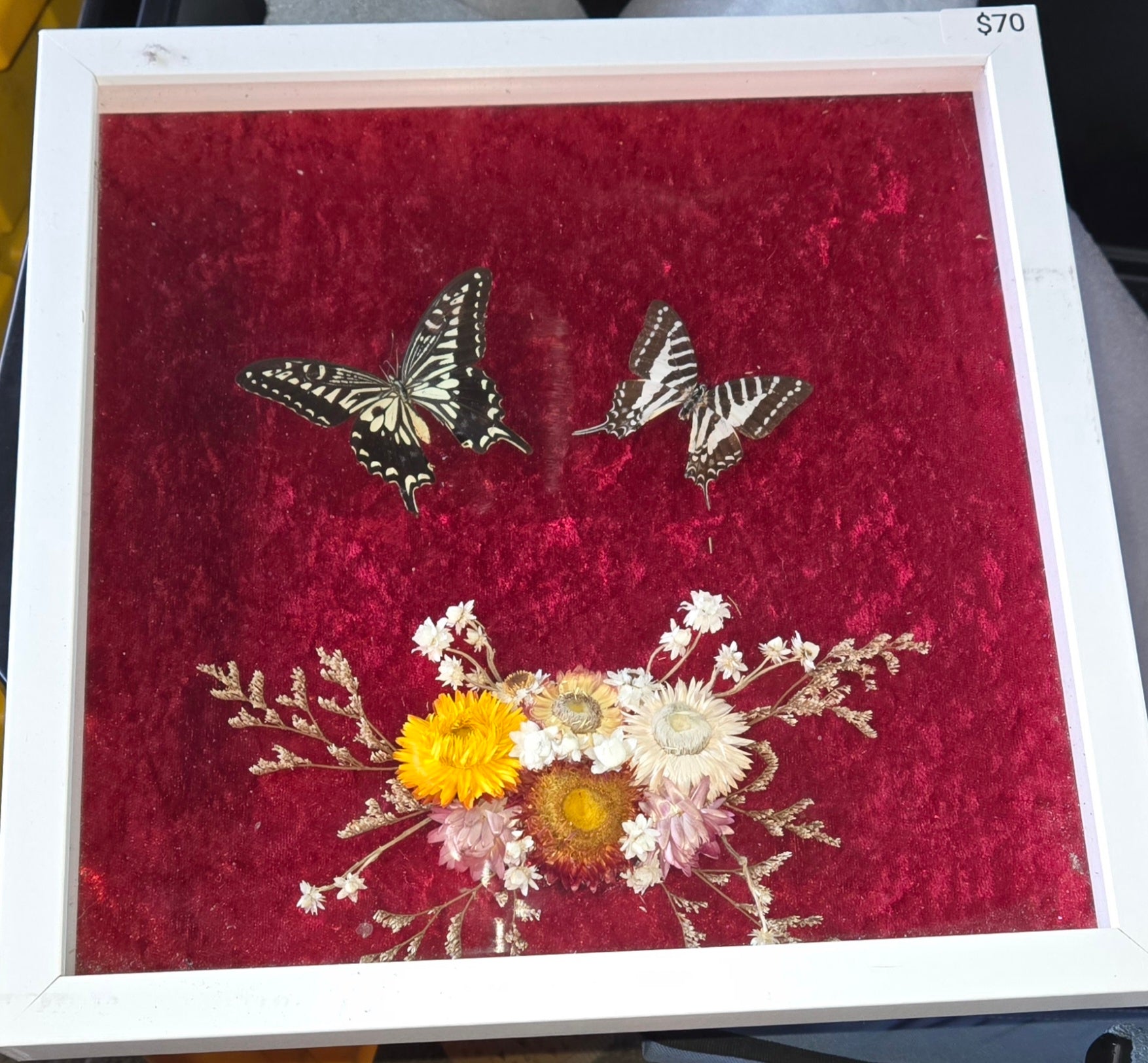 12 x 12